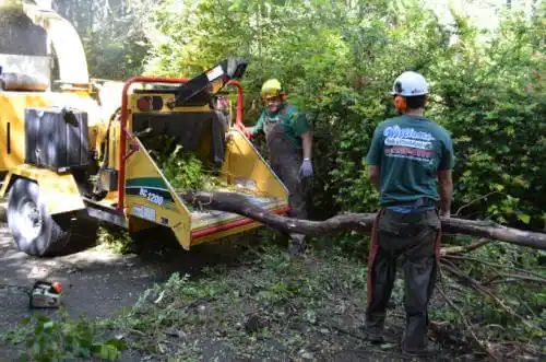 tree services La Moille